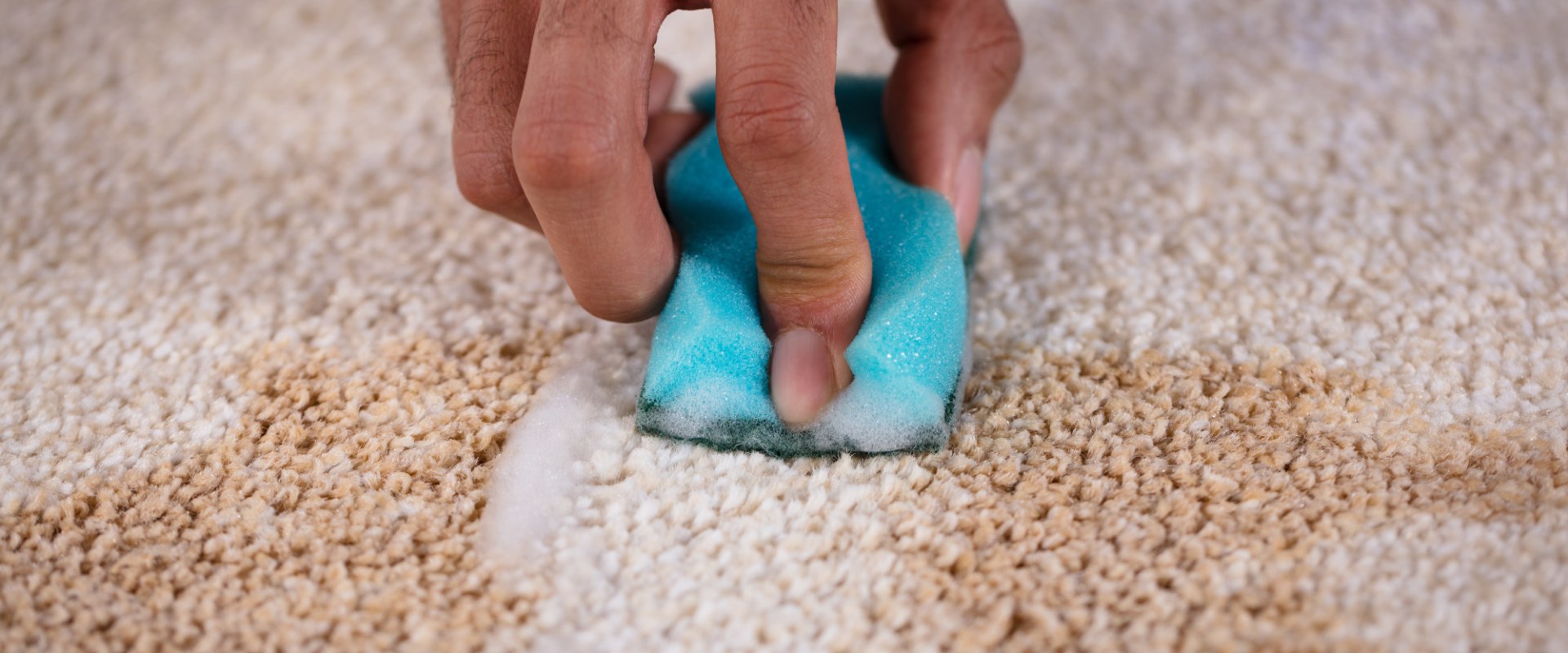 How to Easily Remove Stubborn Carpet Stains